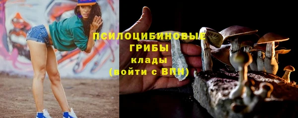 дурь Балахна