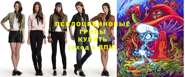 ПСИЛОЦИБИНОВЫЕ ГРИБЫ Балабаново
