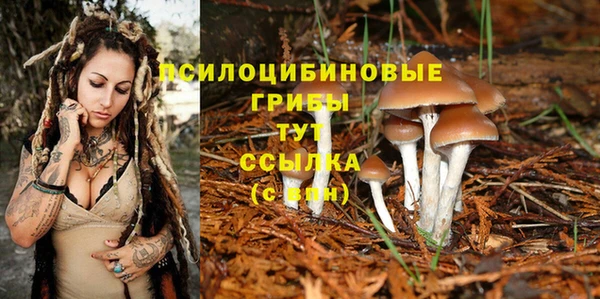 ПСИЛОЦИБИНОВЫЕ ГРИБЫ Балабаново