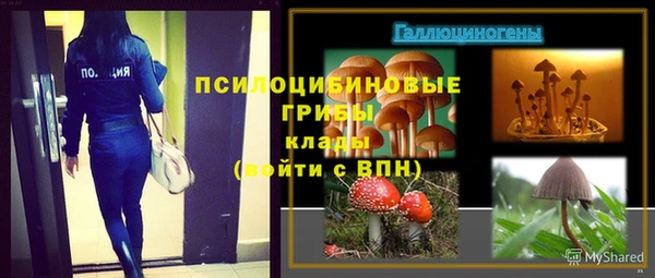 дурь Балахна