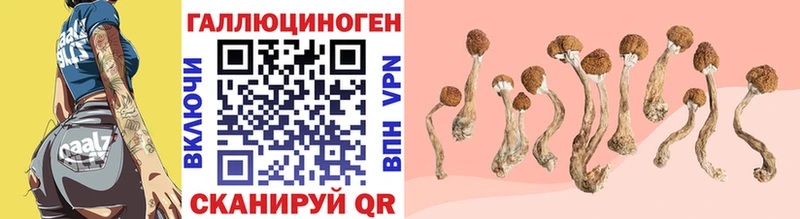 Галлюциногенные грибы прущие грибы  Бологое 